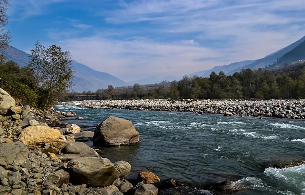 Beas River near Hotel Aurelius Grand